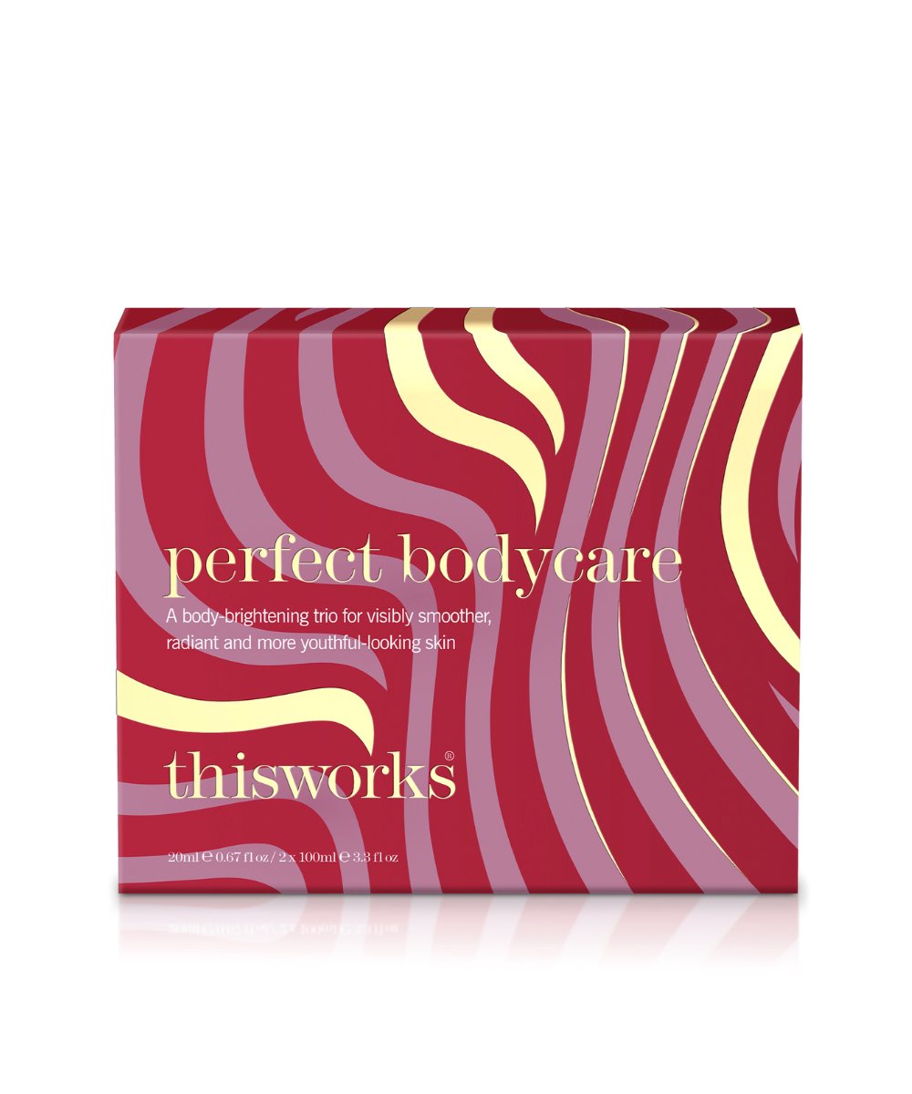 This Works Perfect Luxury Body Kit