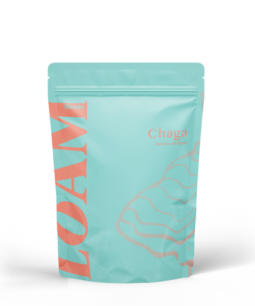 Chaga Organic Extract Powder