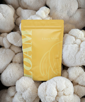 Lion’s Mane Organic Extract Powder