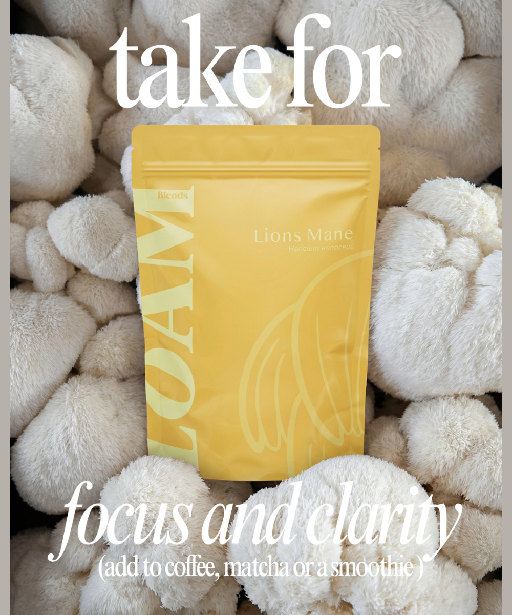 Lion’s Mane Organic Extract Powder