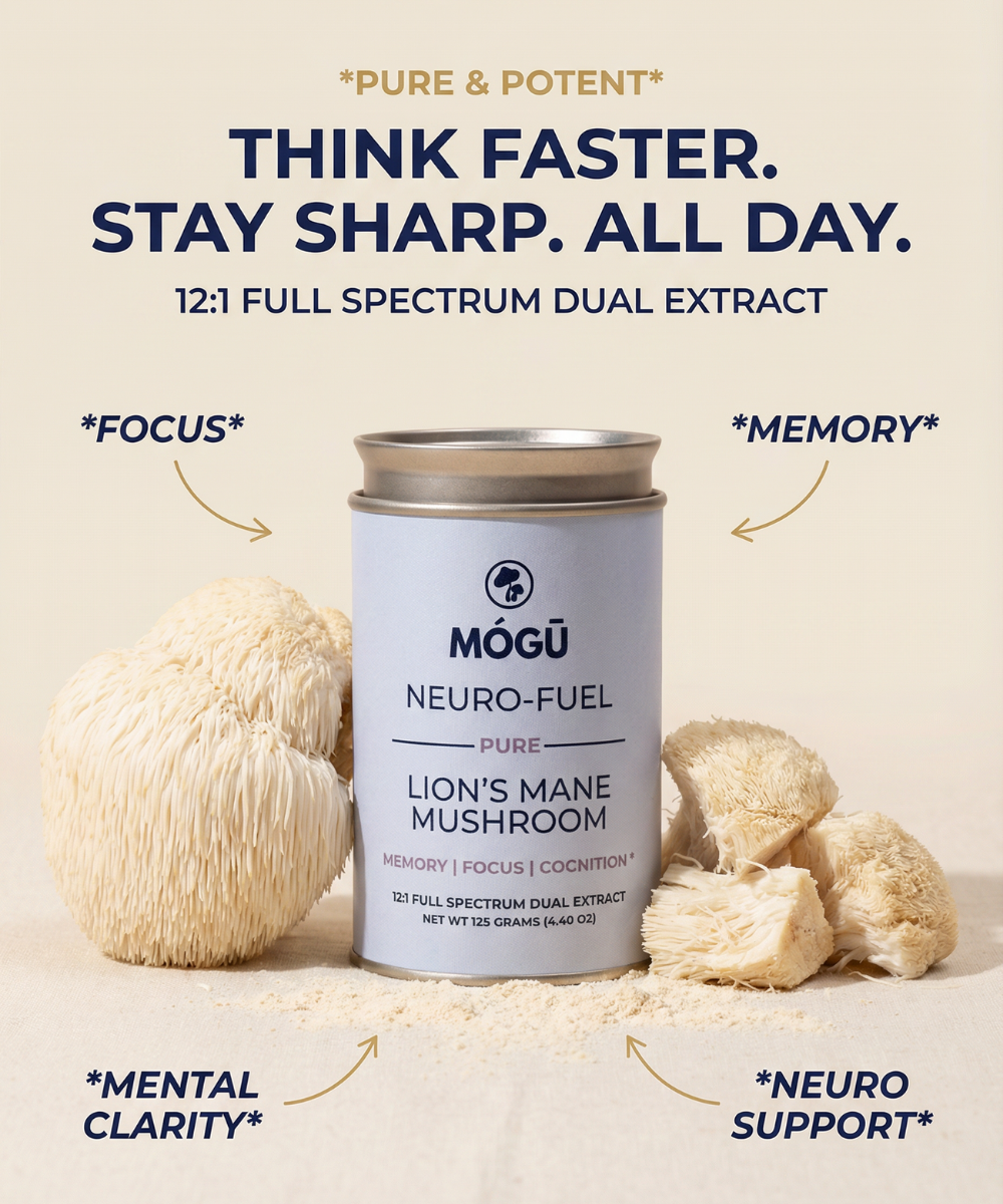 Neuro-Fuel — فطر Lion’s Mane العضوي