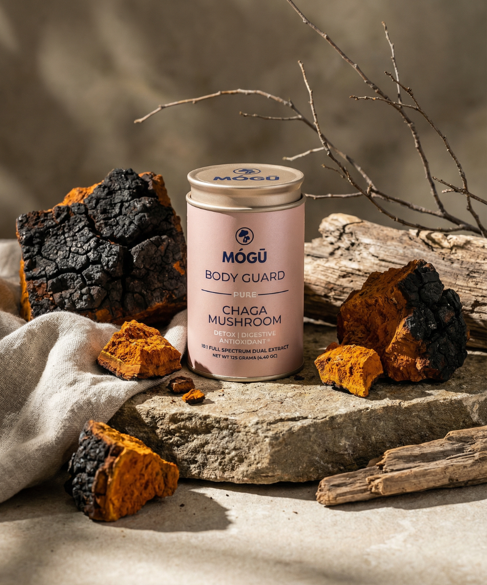 Body Guard — فطر Chaga العضوي
