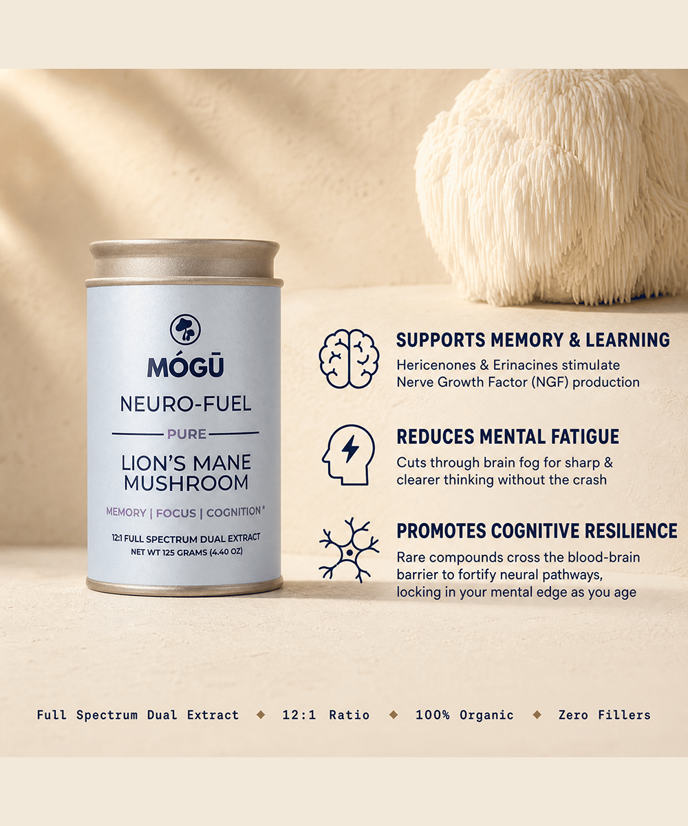 Neuro-Fuel — فطر Lion’s Mane العضوي