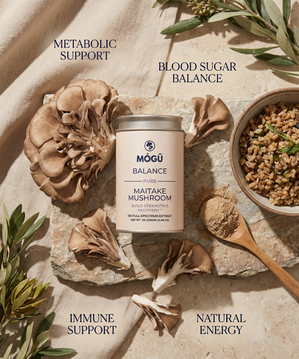 Balance — فطر Maitake العضوي